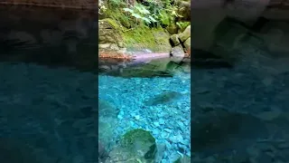 Blue River in Washington tiktok twistedtoke