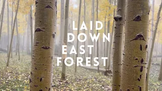 East Forest - Laid Down (Official Music Video)
