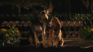 'Lady and the Tramp' Trailer 2