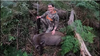 Steph's Big Stag & a Nice Back Strap Recipe