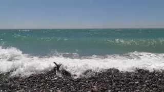 Море, волны, сильный ветер