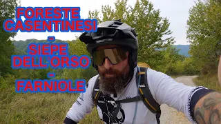 FORESTE CASENTINESI MTB - SIEPE DELL'ORSO - FARNIOLE