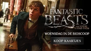 Fantastic Beasts and Where to Find Them | TV-spot New Strange Things 15s WO HD | 16 november 2016