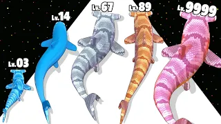 Shark Run - Level Up Shark Max Level Gameplay (Shark Evolution Run)