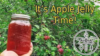 Easy and Simple Apple Jelly Recipe! | All Natural And Delicious