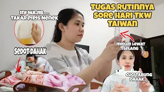 Tugas Rutinnya Sore Hari Tkw Taiwan Begini ⁉️Ini Wajib Dilakukan Takar Pipis Nenek