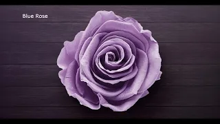 Blue Rose (Calming & Relaxing To Listen at Work)