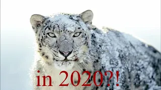 Can you still use Snow Leopard in 2020?