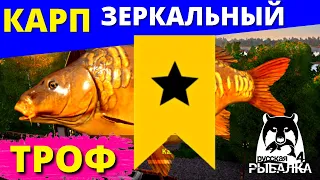 КАРП ЗЕРКАЛЬНЫЙ ТРОФЕЙ ► СУПЕР КЛЁВ ► РУССКАЯ РЫБАЛКА 4 ► ФАРМ 🔴 Russian Fishing 4 🔴 РР4 RF4