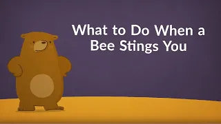 What to Do When a Bee Stings You (Remedies & Relief & Remedies)