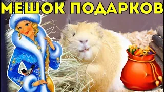 К Нам Пришла Снегурочка и Подарила МЕШОК... SvinkiShow