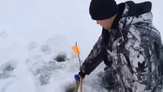 Ловля щуки на Жерлицы (Флажки).Бешеный клев щуки.