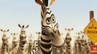 DreamWorks Madagascar | Alex and Marty - Movie Clip | Madagascar: Escape 2 Africa | Kids Movies