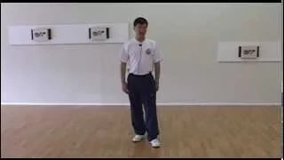 Yang Family Tai Chi kicks, punching down, turn and chop with fist