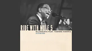 It's a Blues World (feat. Tommie Harris) (Live)