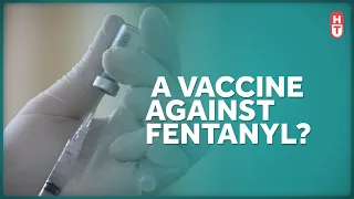 A Fentanyl Vaccine Shows Promise
