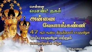 Besant Nagar Annai Velankanni Shrine festival 2019 - SEP 08 - MOTHER MARY'S BIRTHDAY