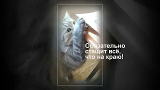 это командная работа.