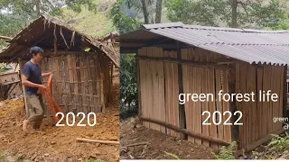 From a tattered hut, Now I built a stronger house. Green forest life.