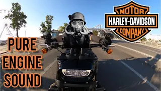 Harley-Davidson FatBob City Ride Pure Engine Sound