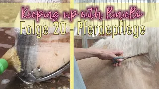 [20] Pferdepflege + Frisieren | Keeping up with BinieBo