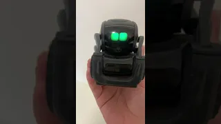 Vector robot