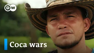 Colombia's coca wars | DW Documentary