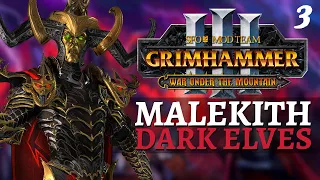 KHAINE'S DUE | SFO Immortal Empires - Total War: Warhammer 3 - Dark Elves - Malekith #3