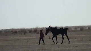 (Акжол )аксуат байге