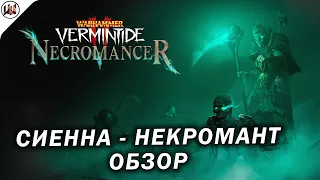 Первый смотр Сиенны Некроманта! Warhammer: Vermintide 2