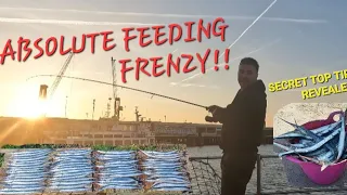 MASSIVE  FEEDING FRENZY!!  TIPS   ON CATCHING HUGE AMOUNTS OF FISH! #viral #fishing