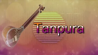 1 Hour Tanpura for Vocal (Singing) Practice | Meditation Music | Everyday Track For All