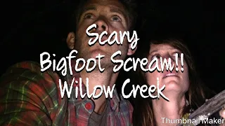 Bigfoot screams Willow Creek scary tent scene