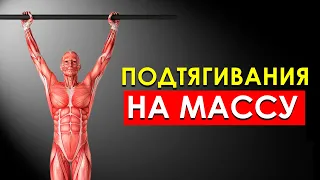 Сколько Нужно Подтягиваться в День, Чтобы Набрать Мышечную Массу?