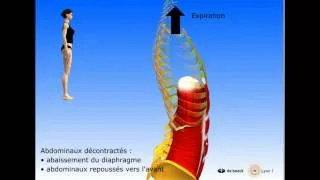 Vidéo sonorisée Diaphragme Périnée Intercostaux