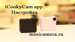 Настройка WiFi камеры С1+ iCookyCam