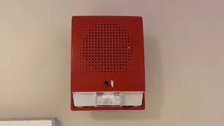 Basement Fire System Test 21 | EST Voice Evacuation (Genesis Speaker Strobes) and FIRE DOOR