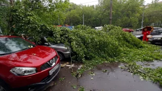 News Update Moscow storm: Several people killed, mayor says 29/05/17