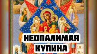 Редкая чудотворная икона Богородицы Неопалимая Купина. Чудеса, История, описание, значение иконы.