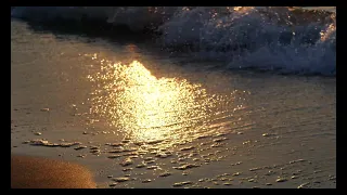 Sea Wave Golden Sand Sunrise Ocean Water Море Волна Золотой Песок Восход Солнца Океан Вода 4K 60FPS