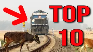 TOP 10 THE TRAIN ALMOST KILLED THE ANIMAL