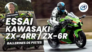 Comparo Kawasaki ZX 4RR/ZX 6R (2024)