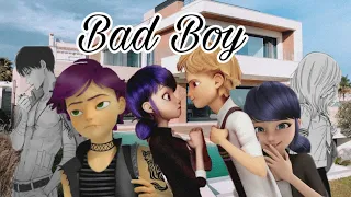 Bad Boy 17 Infobox