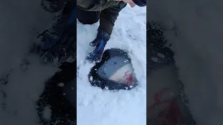 Found Dangerous Underwater Monster Under The Ice!