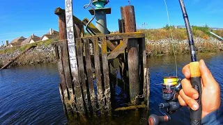 Spring Bass Fishing on the California Delta