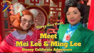 Meet Mei Lee and Ming Lee from Turning Red for the Lunar New Year at Disney California Adventure