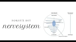 Forstå dit hvorfor dit nervesystem reagerer med kamp, flugt, frys og kollapsreaktioner