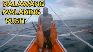 PINAHIRAPAN YUNG KASAMA KO NG PAGBATAK NG DALAWANG MALAKING PUSIT or GIAT SQUID