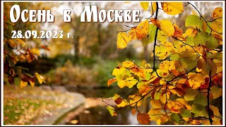 Осень в Москве: Покровский и Новоспасский монастырь, Крутицкое подворье, прогулка по Москве-реке