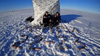 ОТЛИЧНОЕ ЗАВЕРШЕНИЕ 2022 ГОДА! РЫБАЛКА на озере УЕЛГИ! Рыбалка на Карася! Отчёт от 24.12.2022 года